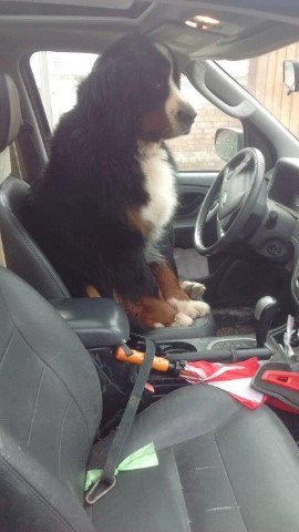 Do You Mind if I Drive Home